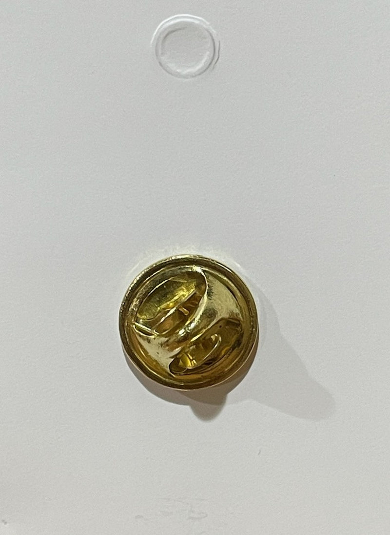 DIVINE MERCY PIN W/CRYSTALS