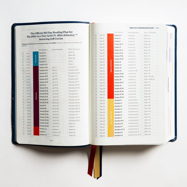 GREAT ADVENTURE CATHOLIC BIBLE