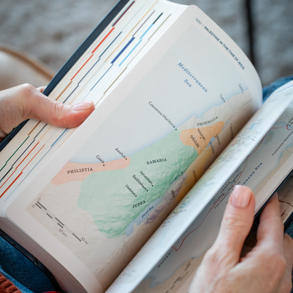 GREAT ADVENTURE CATHOLIC BIBLE