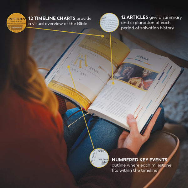 GREAT ADVENTURE CATHOLIC BIBLE