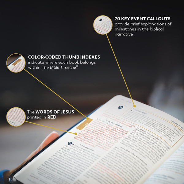 GREAT ADVENTURE CATHOLIC BIBLE