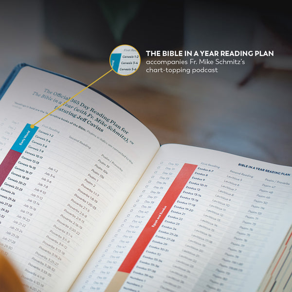 GREAT ADVENTURE CATHOLIC BIBLE