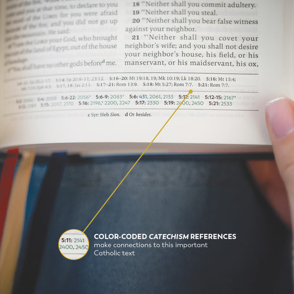 GREAT ADVENTURE CATHOLIC BIBLE