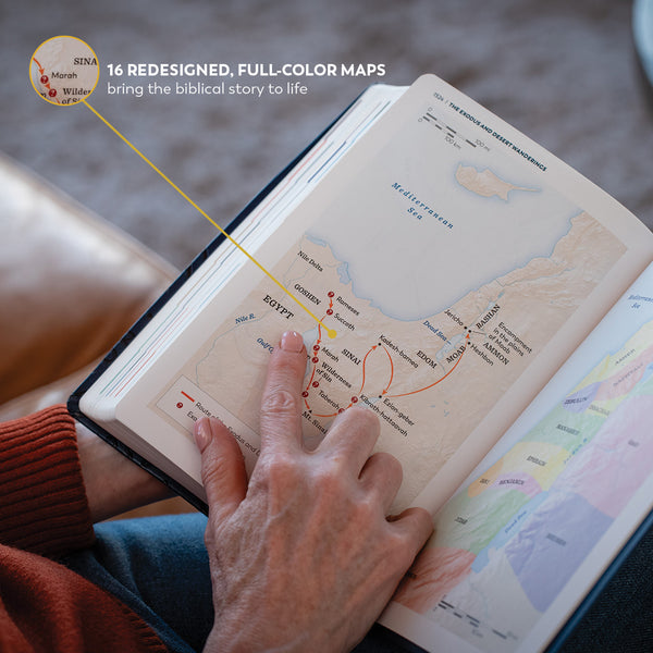 GREAT ADVENTURE CATHOLIC BIBLE