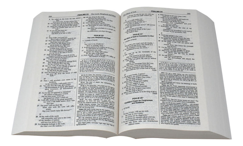 STUDENT NABRE PAPERBACK BIBLE