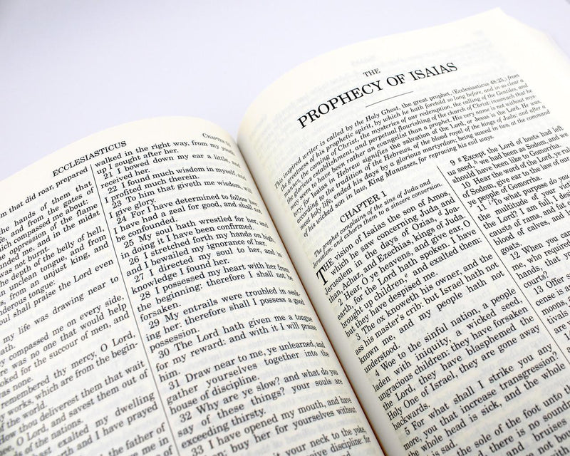 DOUAY-RHEIMS BIBLE PAPER BLUE