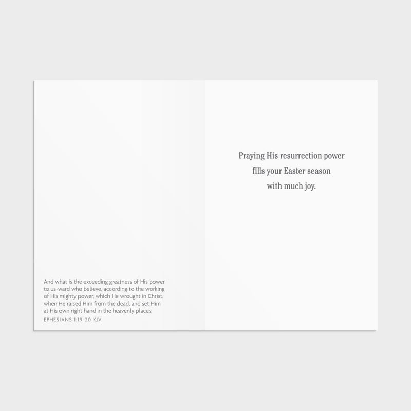 12CT EASTER BOXED CARDS