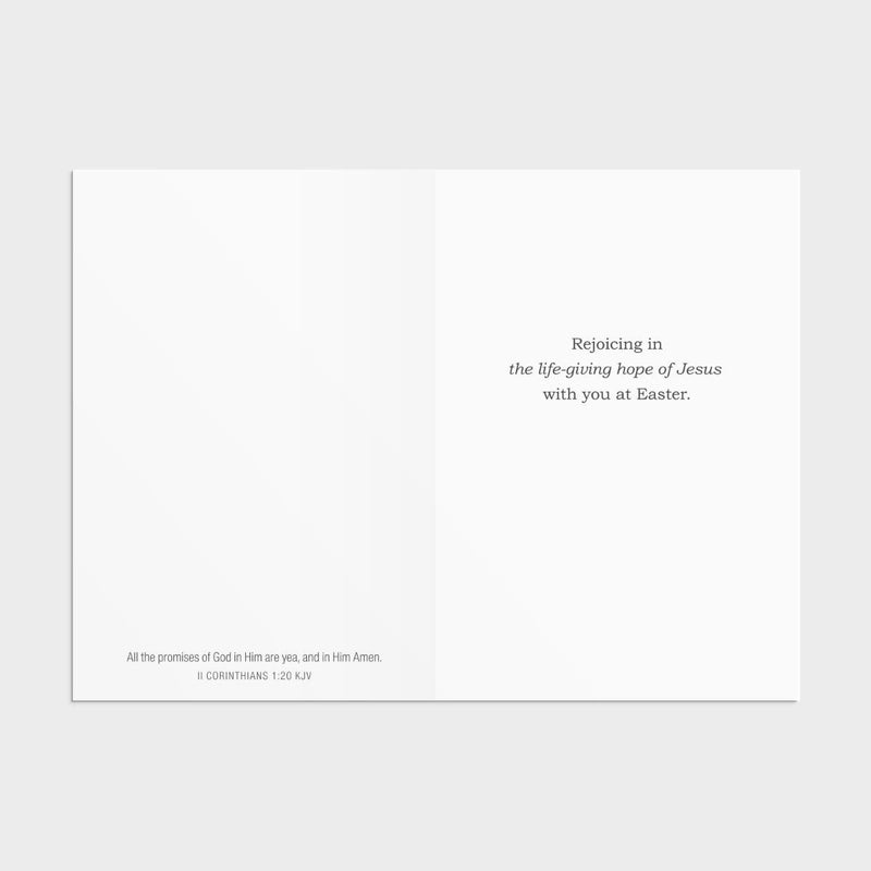 12CT EASTER BOXED CARDS