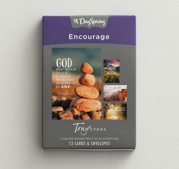 12 CT ENCOURAGE BOXED CARDS