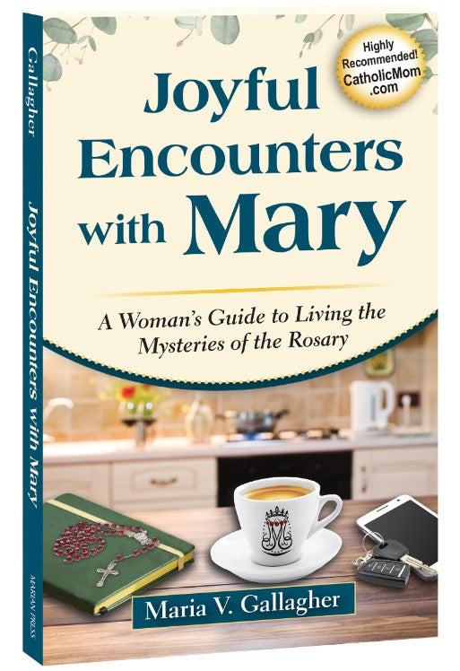 JOYFUL ENCOUNTERS WITH MARY