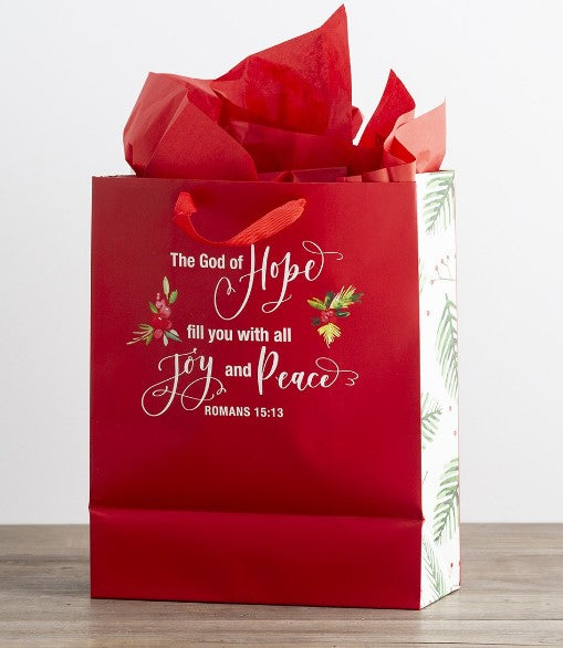 LARGE GIFTBAG HOPE