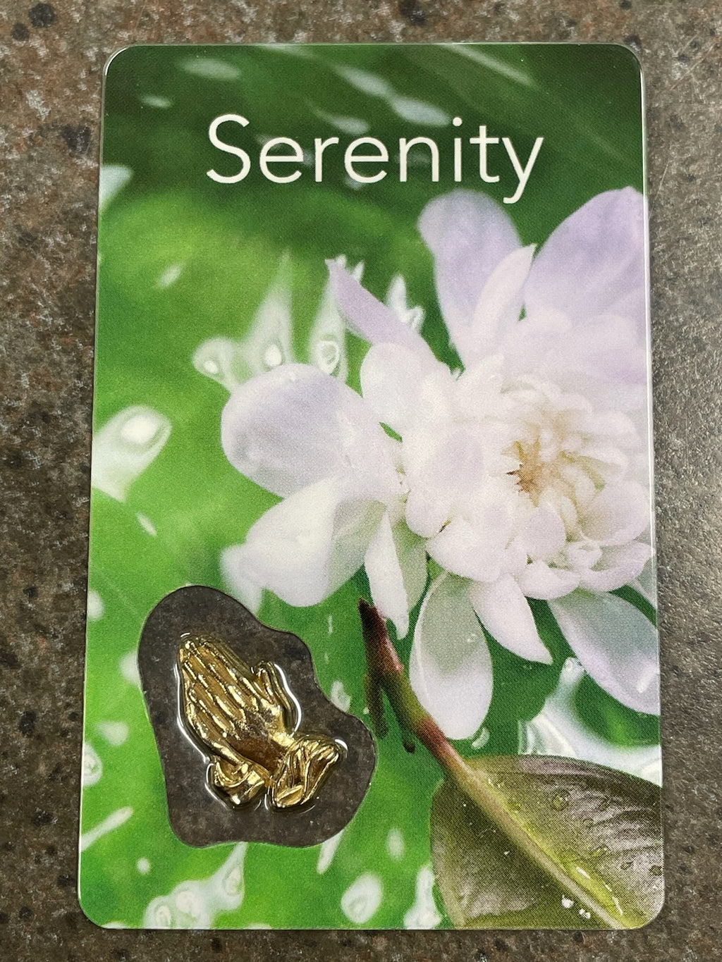 SERENITY PRAYER CARD W/HANDS